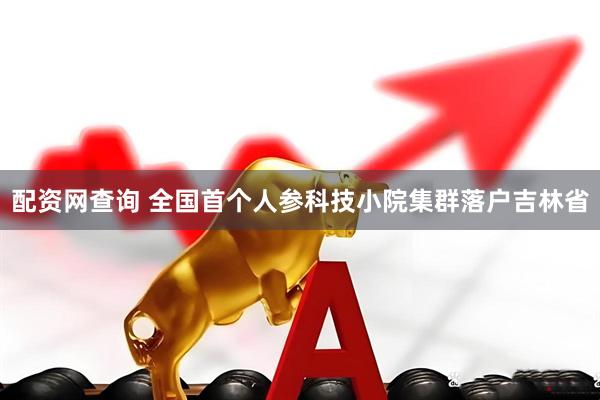 配资网查询 全国首个人参科技小院集群落户吉林省