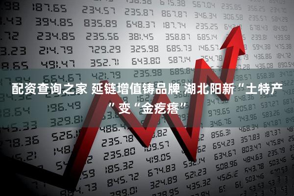 配资查询之家 延链增值铸品牌 湖北阳新“土特产”变“金疙瘩”
