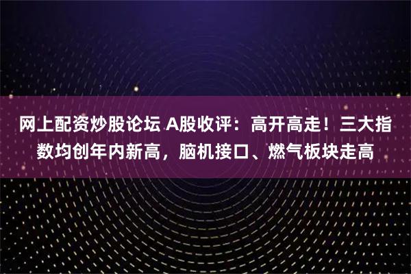网上配资炒股论坛 A股收评：高开高走！三大指数均创年内新高，脑机接口、燃气板块走高